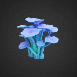 Glowing Bioluminescent Fungus