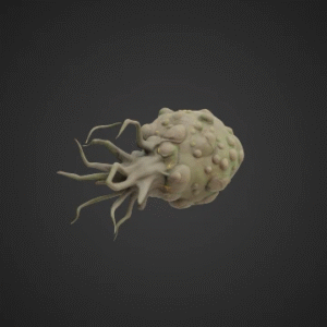 Enigmatic Spore Pod