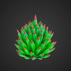 Spiky Cactus-Like Entity